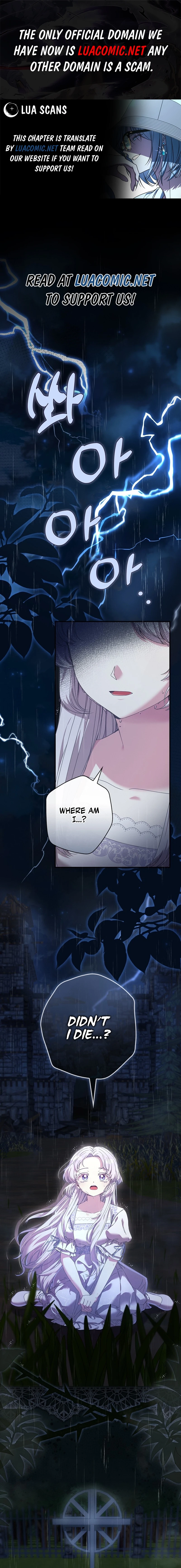 The Princess Reincarnation Chapter 1 page 1 - 