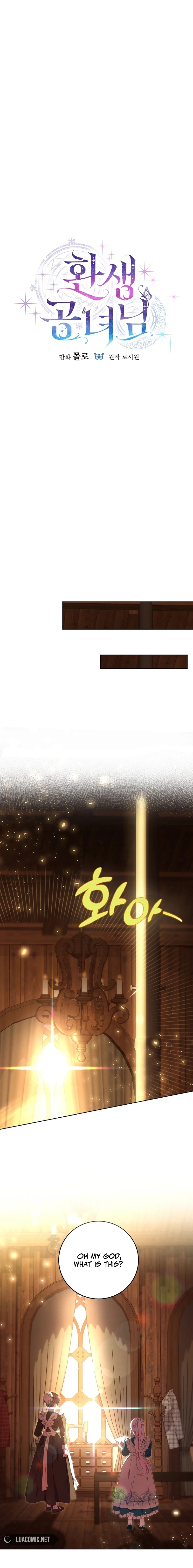 The Princess Reincarnation Chapter 10 page 13 - 