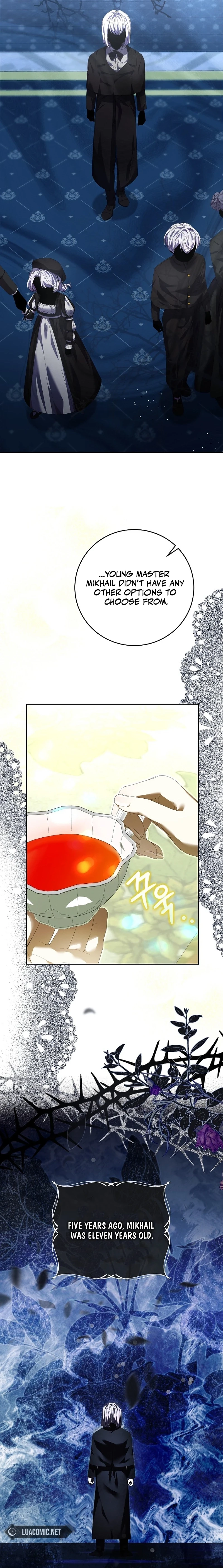 The Princess Reincarnation Chapter 10 page 10 - 
