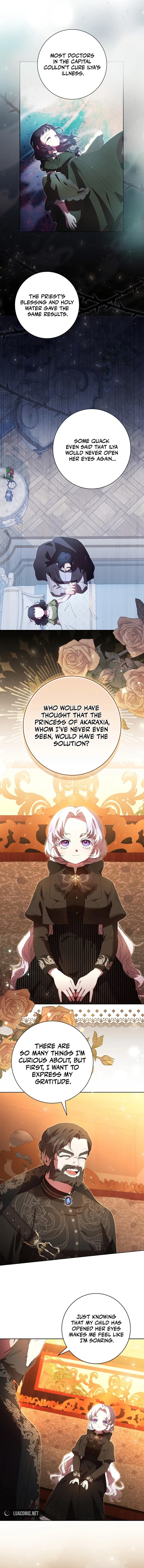 The Princess Reincarnation Chapter 18 page 3 - 