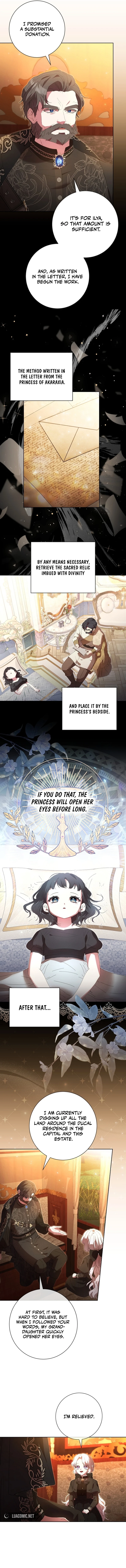 The Princess Reincarnation Chapter 18 page 5 - 