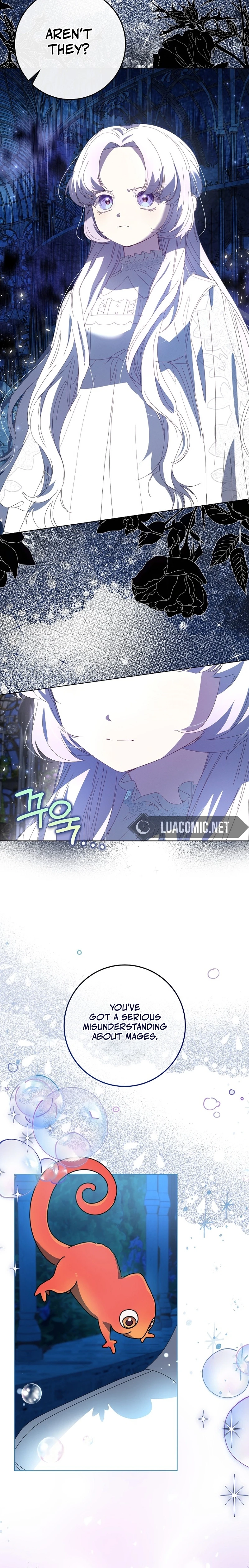 The Princess Reincarnation Chapter 22 page 5 - 
