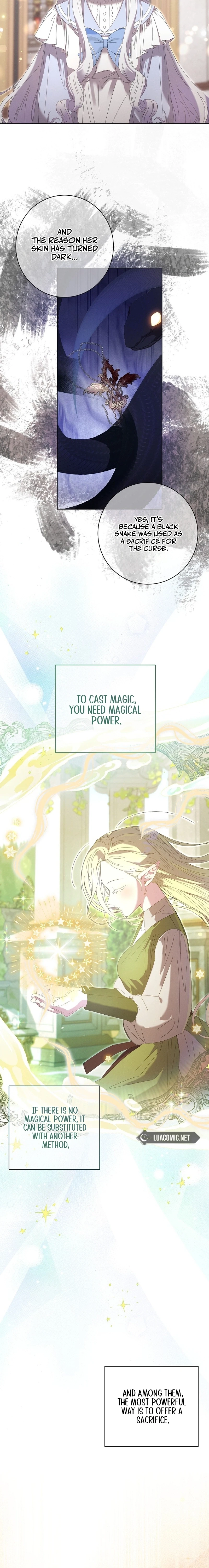 The Princess Reincarnation Chapter 24 page 9 - 