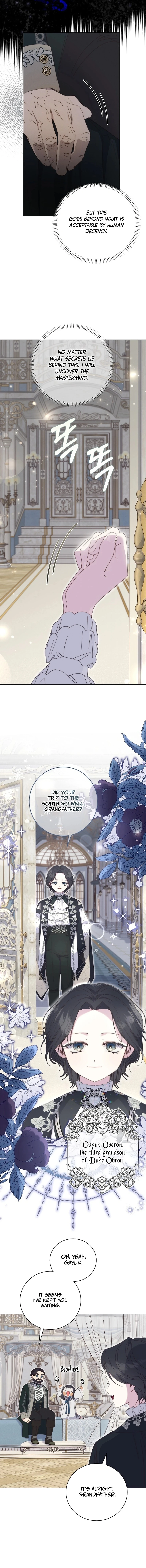 The Princess Reincarnation Chapter 27 page 4 - 