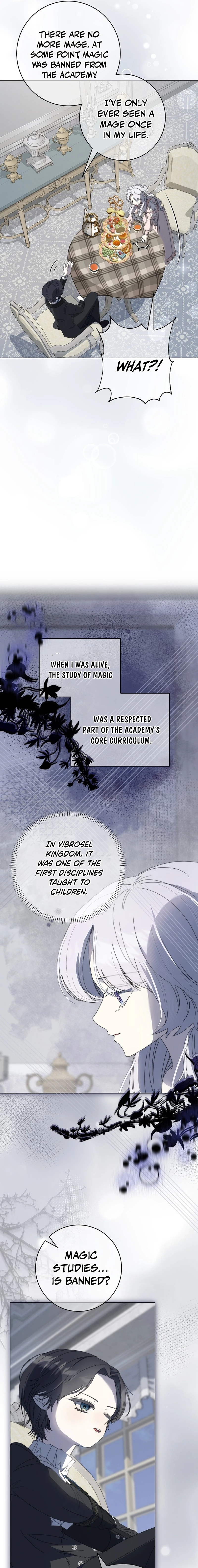 The Princess Reincarnation Chapter 29 page 11 - 