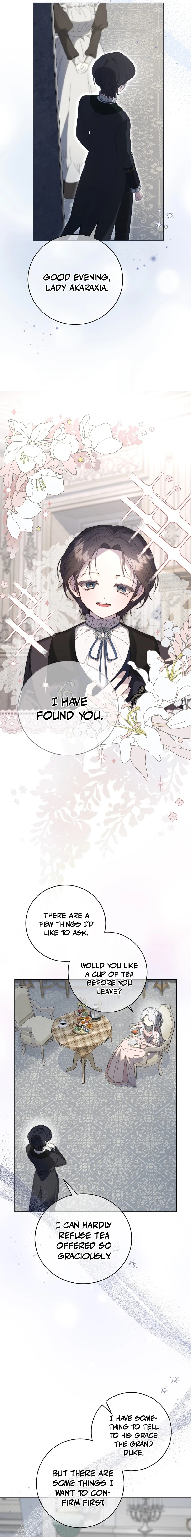 The Princess Reincarnation Chapter 29 page 3 - 