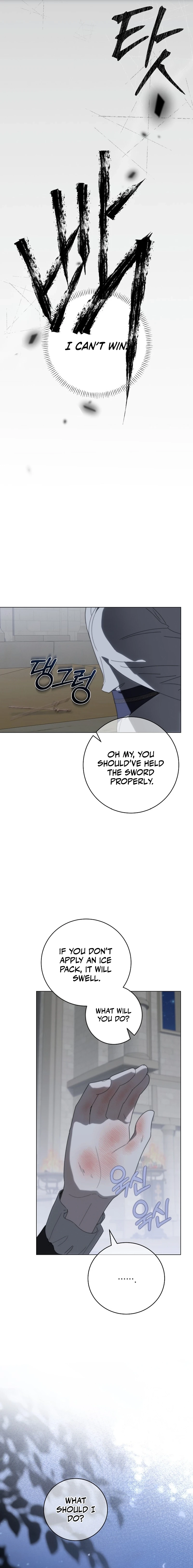 The Princess Reincarnation Chapter 31 page 3 - 