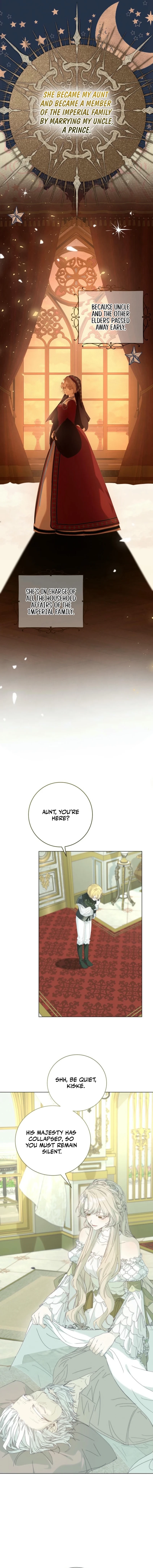 The Princess Reincarnation Chapter 33 page 3 - 