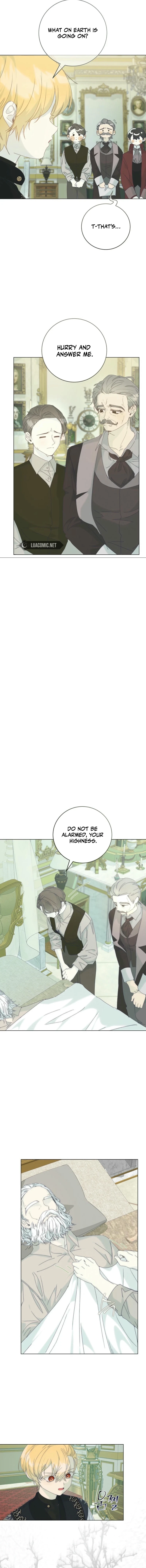 The Princess Reincarnation Chapter 33 page 4 - 