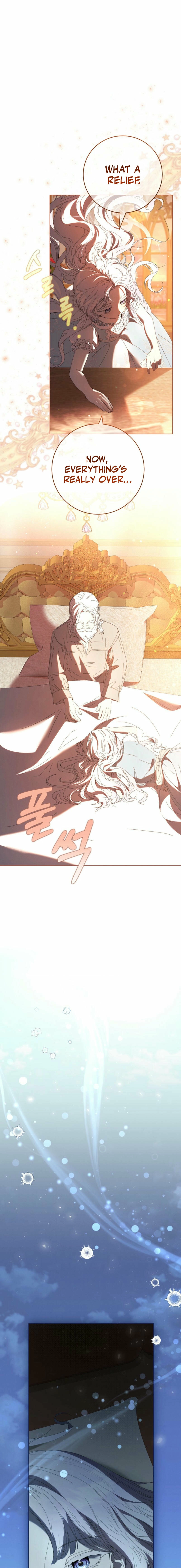 The Princess Reincarnation Chapter 37 page 17 - 