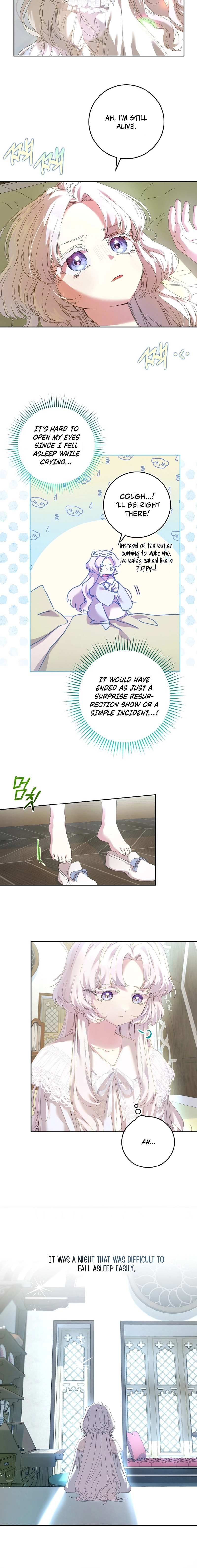 The Princess Reincarnation Chapter 4 page 13 - 