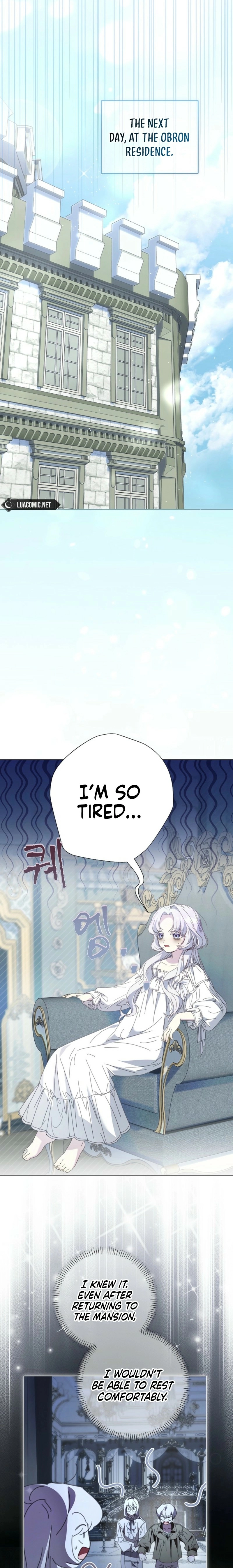 The Princess Reincarnation Chapter 40 page 11 - 