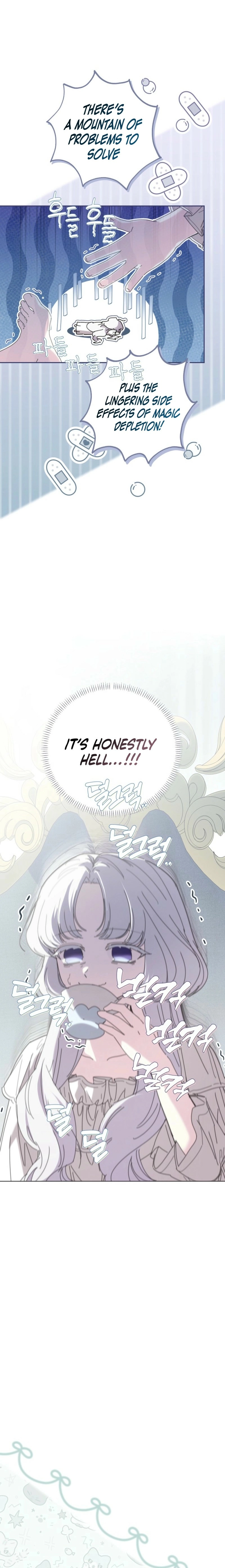 The Princess Reincarnation Chapter 40 page 14 - 