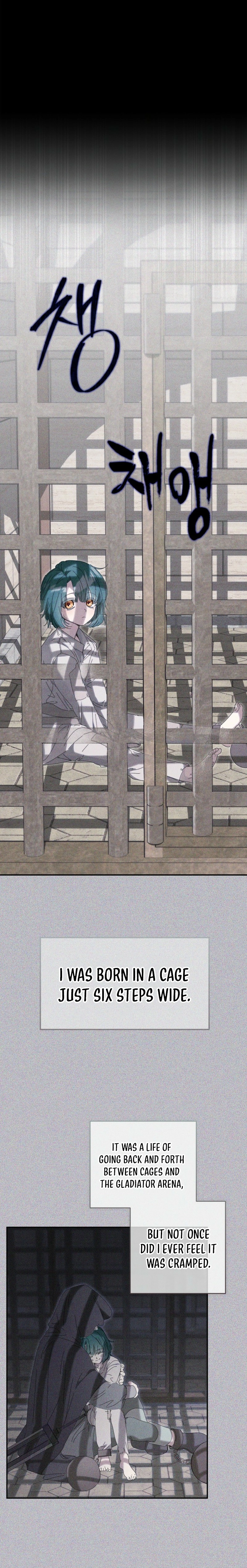 The Princess Reincarnation Chapter 42 page 10 - 