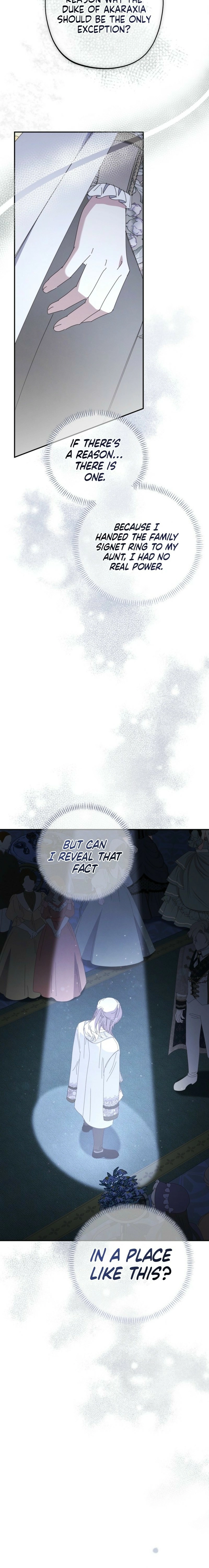 The Princess Reincarnation Chapter 43 page 24 - 