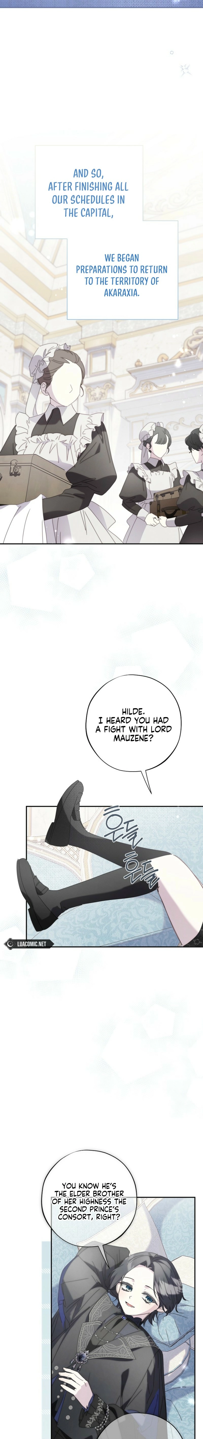 The Princess Reincarnation Chapter 45 page 19 - 