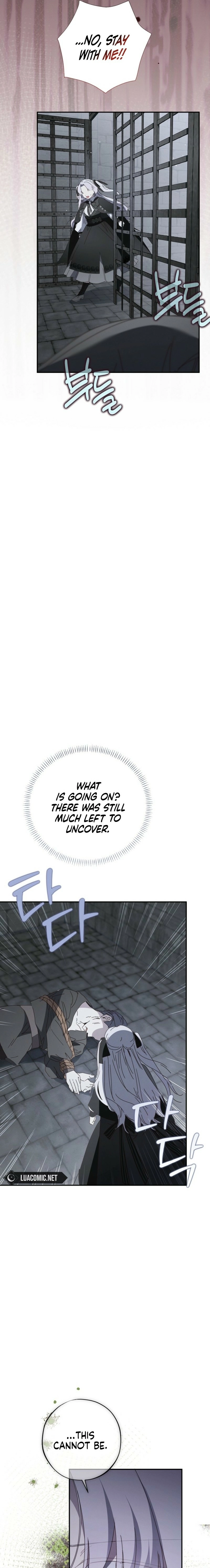 The Princess Reincarnation Chapter 53 page 17 - 