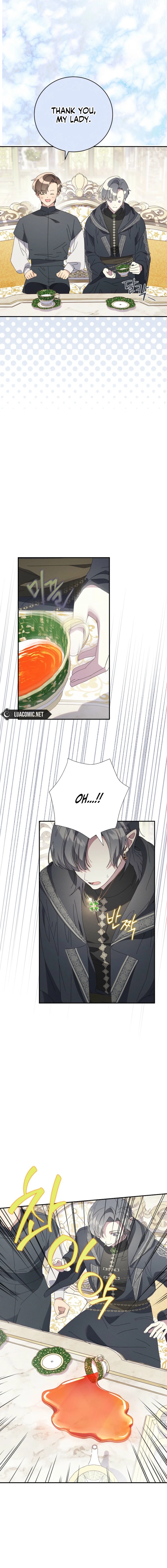 The Princess Reincarnation Chapter 62 page 12 - 