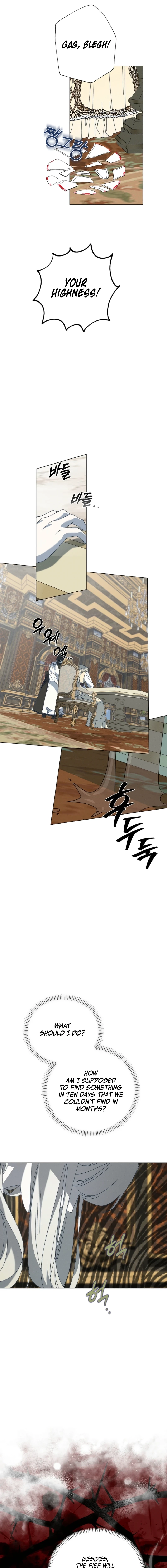 The Princess Reincarnation Chapter 74 page 17 - 