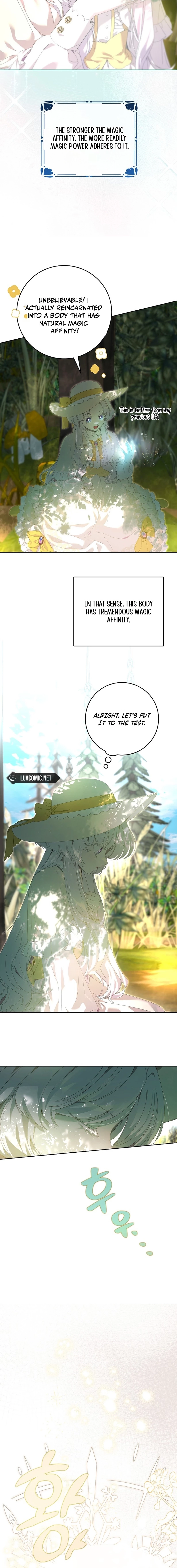 The Princess Reincarnation Chapter 8 page 2 - 