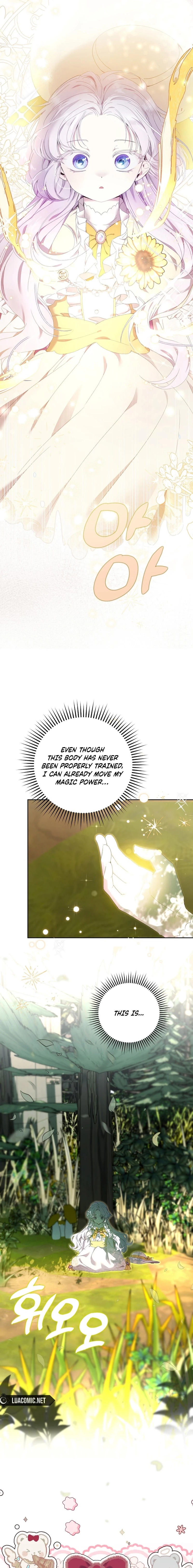 The Princess Reincarnation Chapter 8 page 3 - 