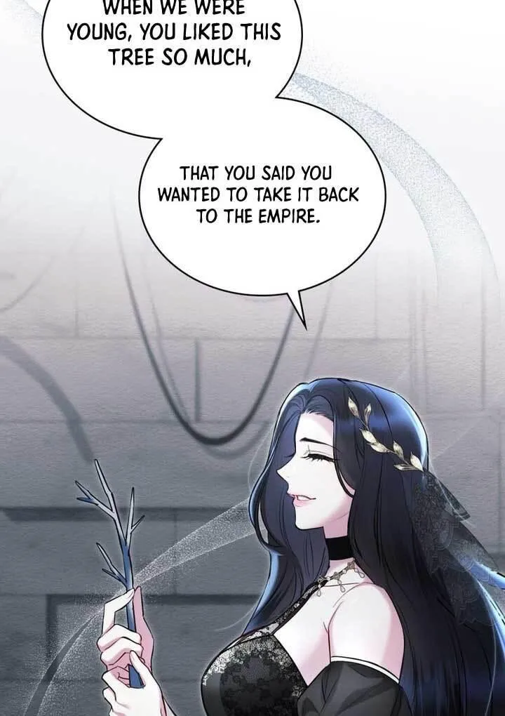 The Princess