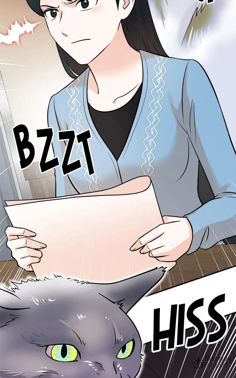 The Producer