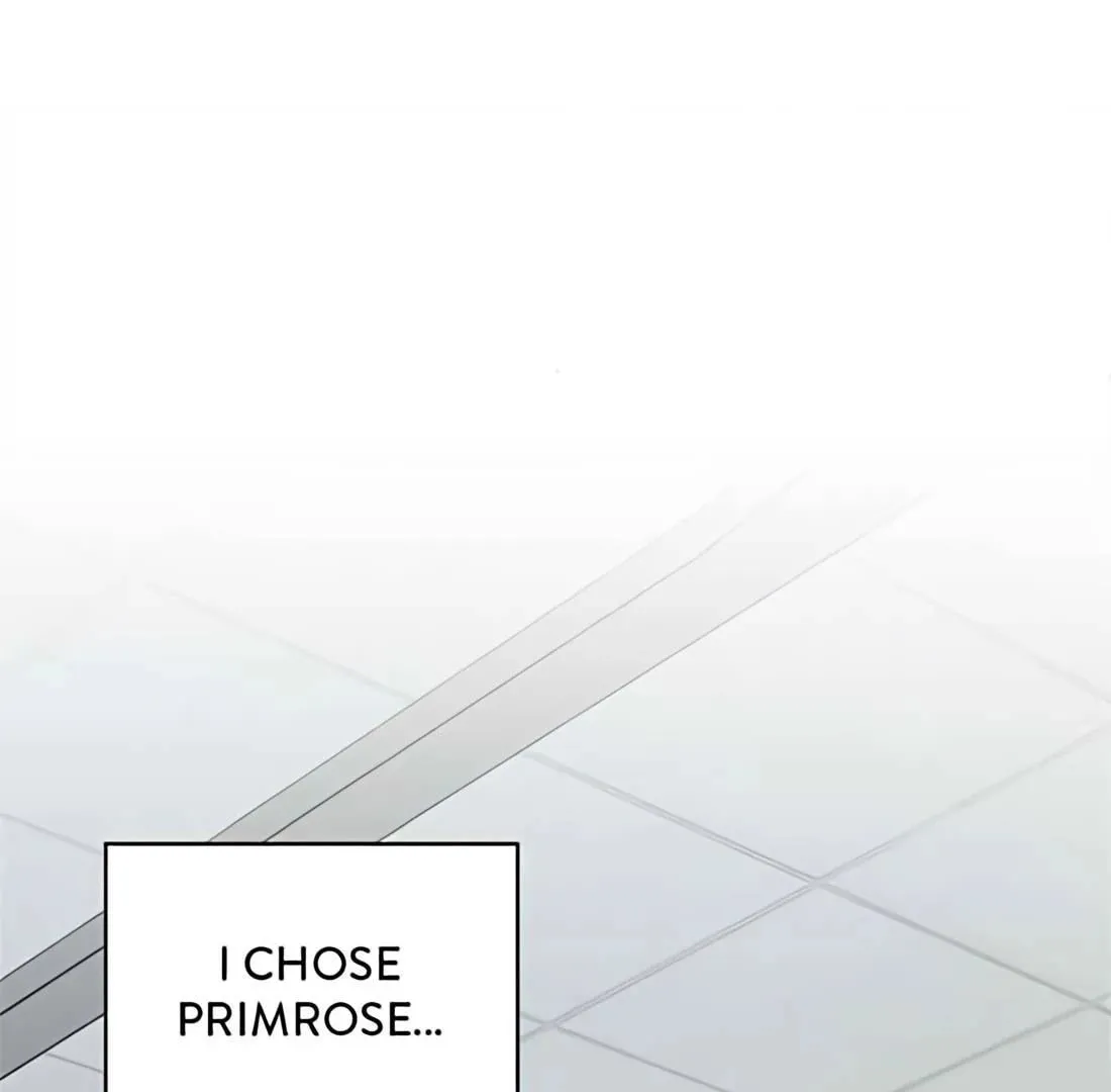 The Producer