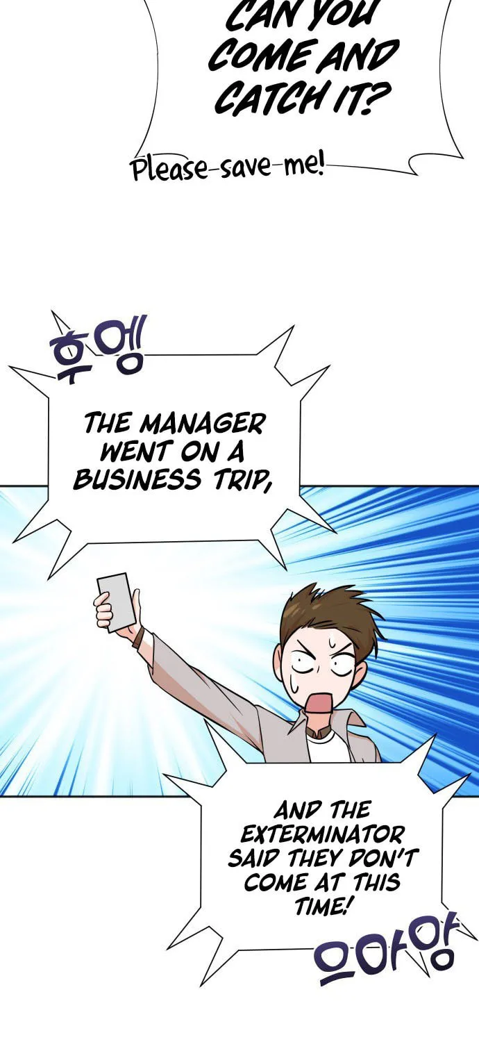 The Producer