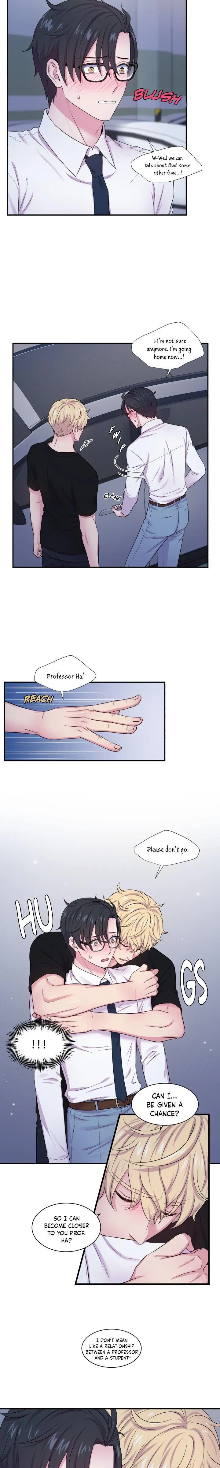 The Professor