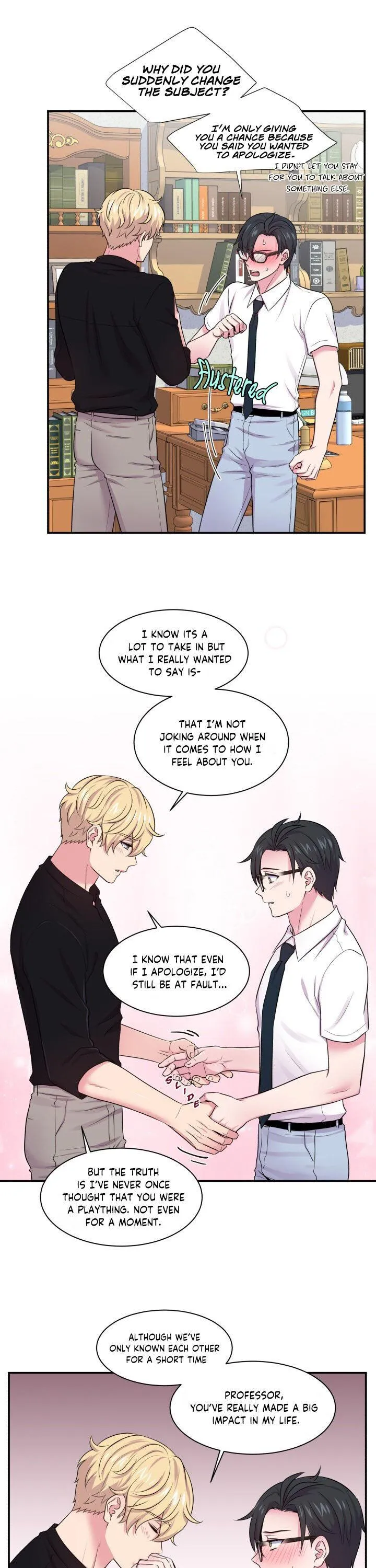 The Professor