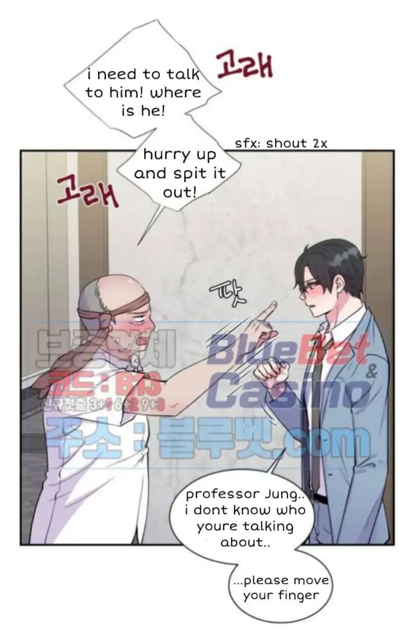 The Professor