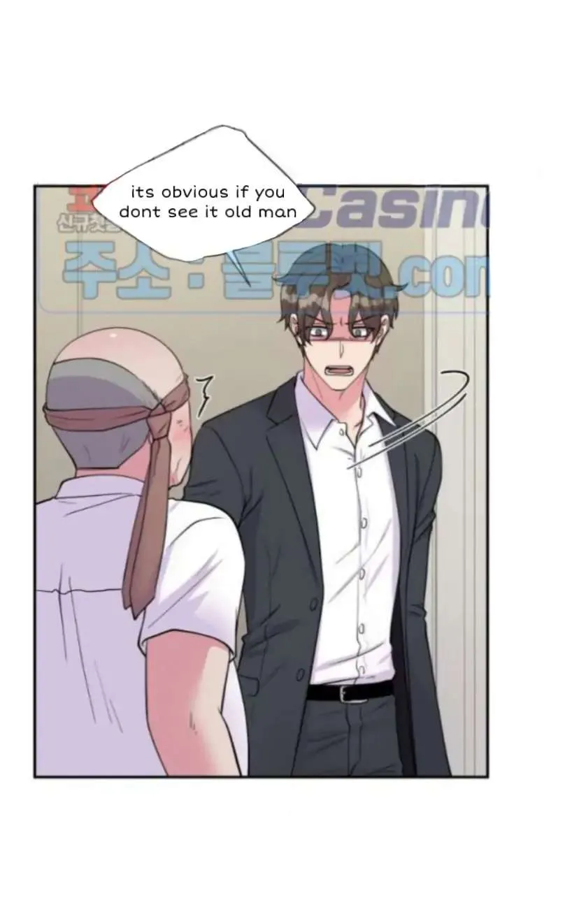 The Professor