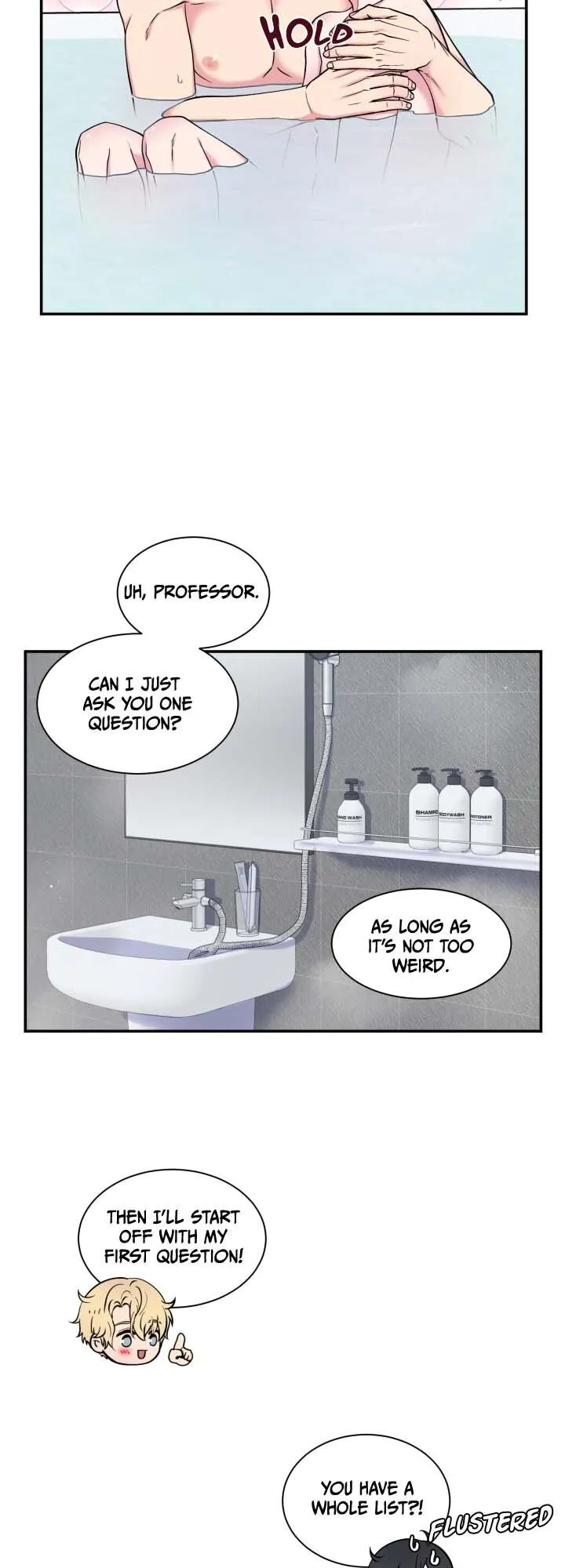 The Professor