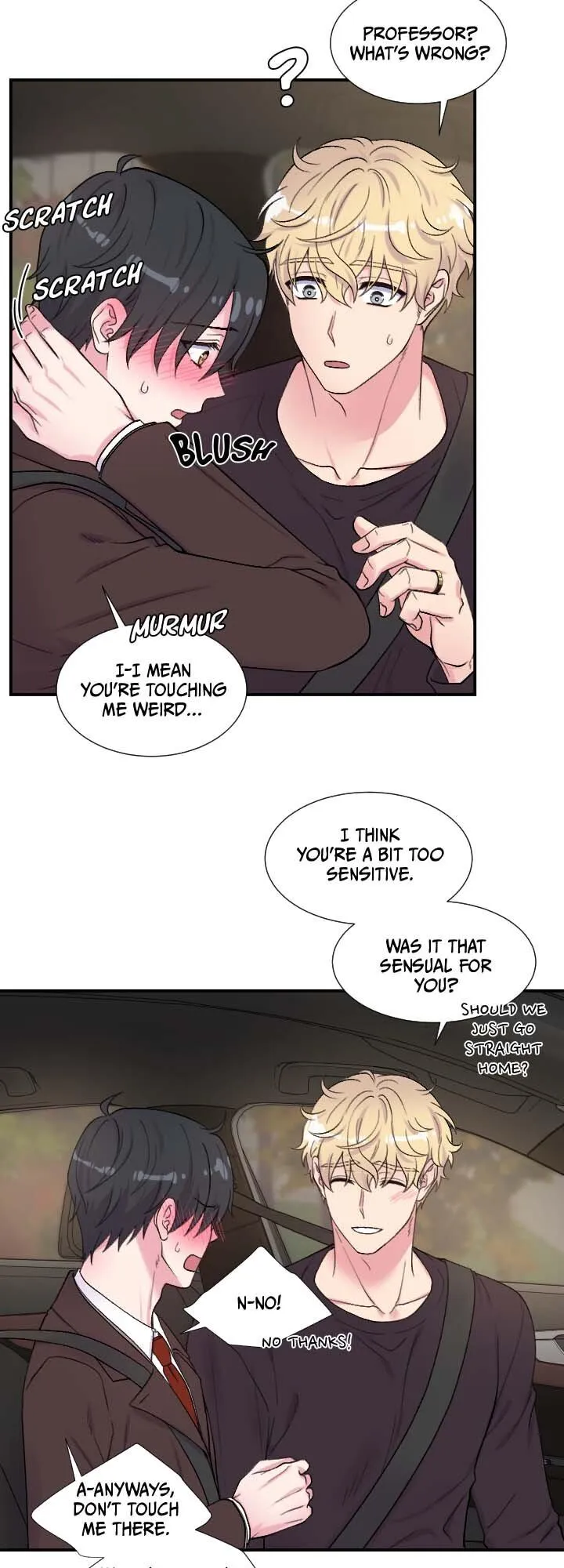 The Professor