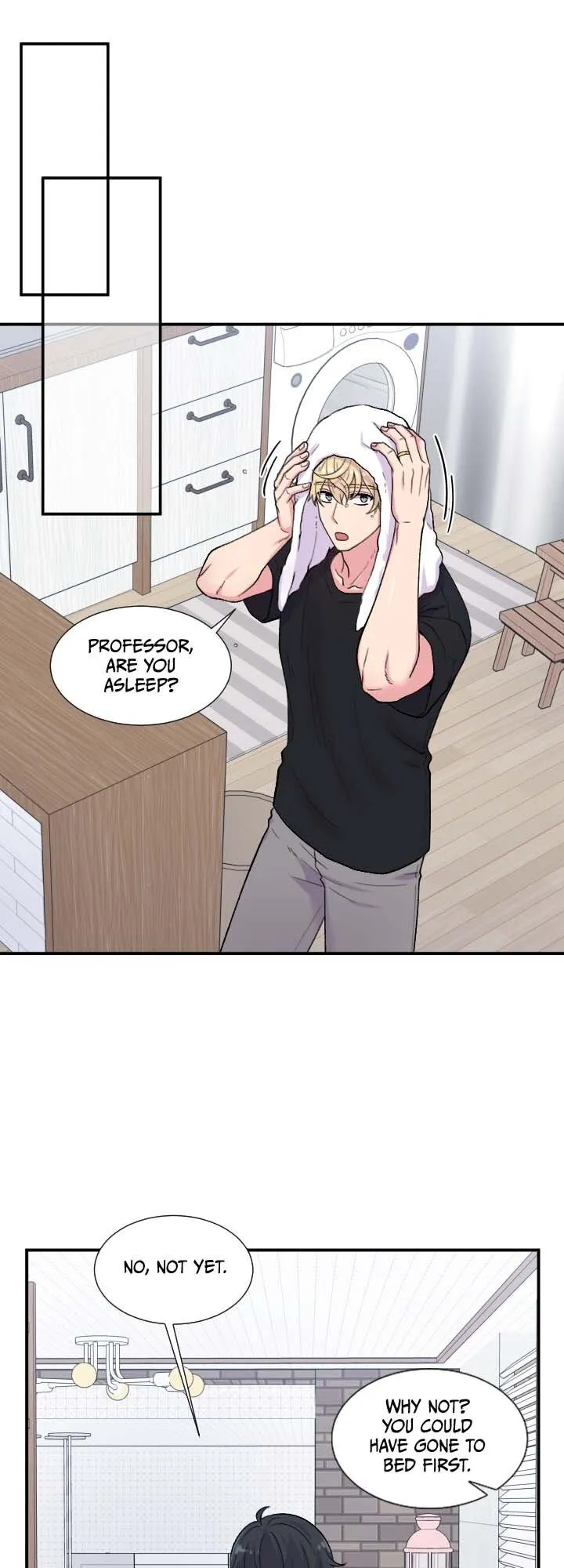 The Professor