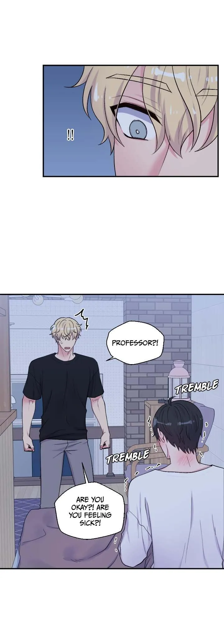The Professor