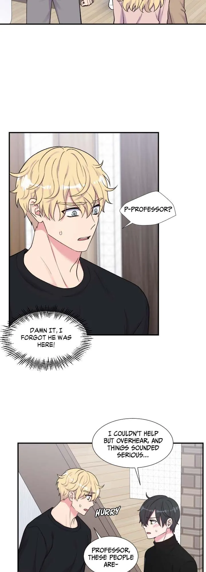 The Professor