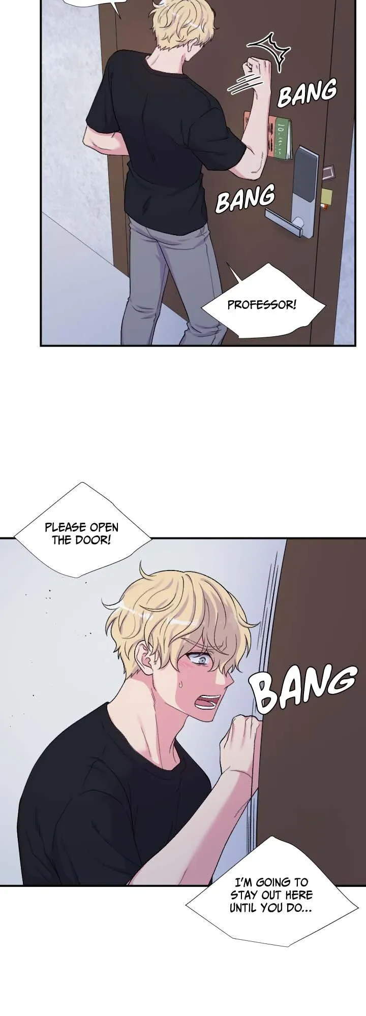 The Professor