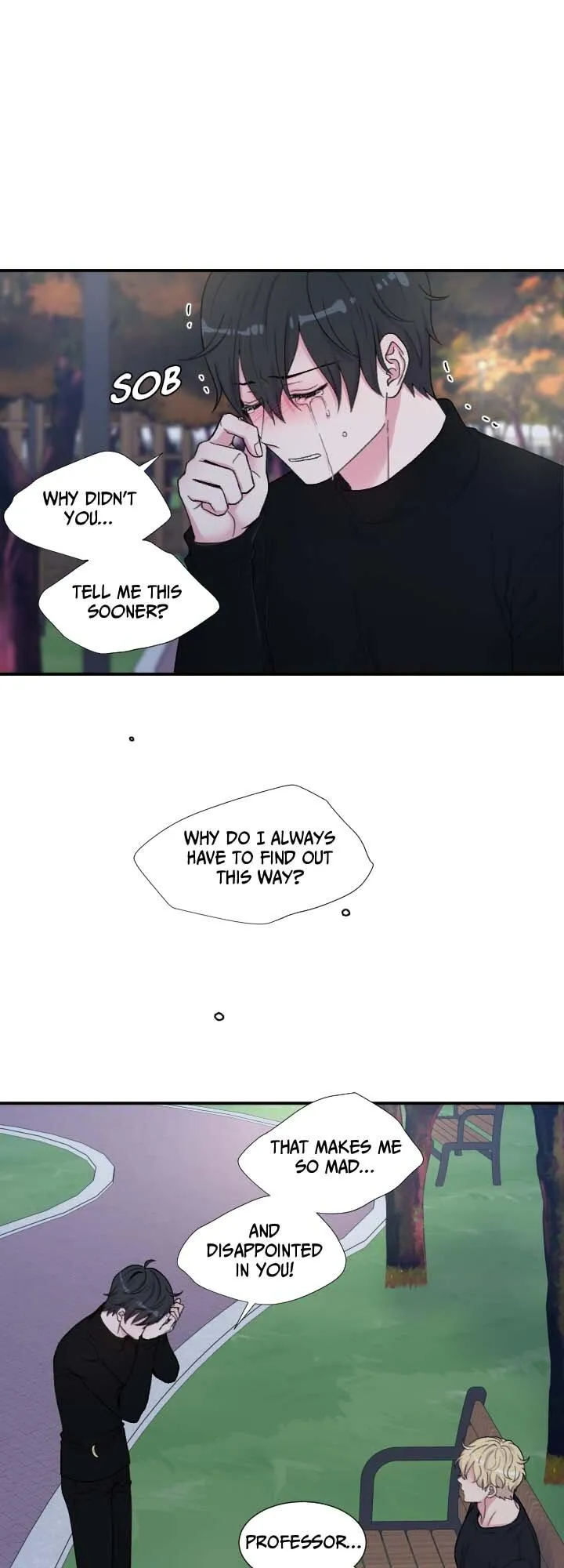The Professor