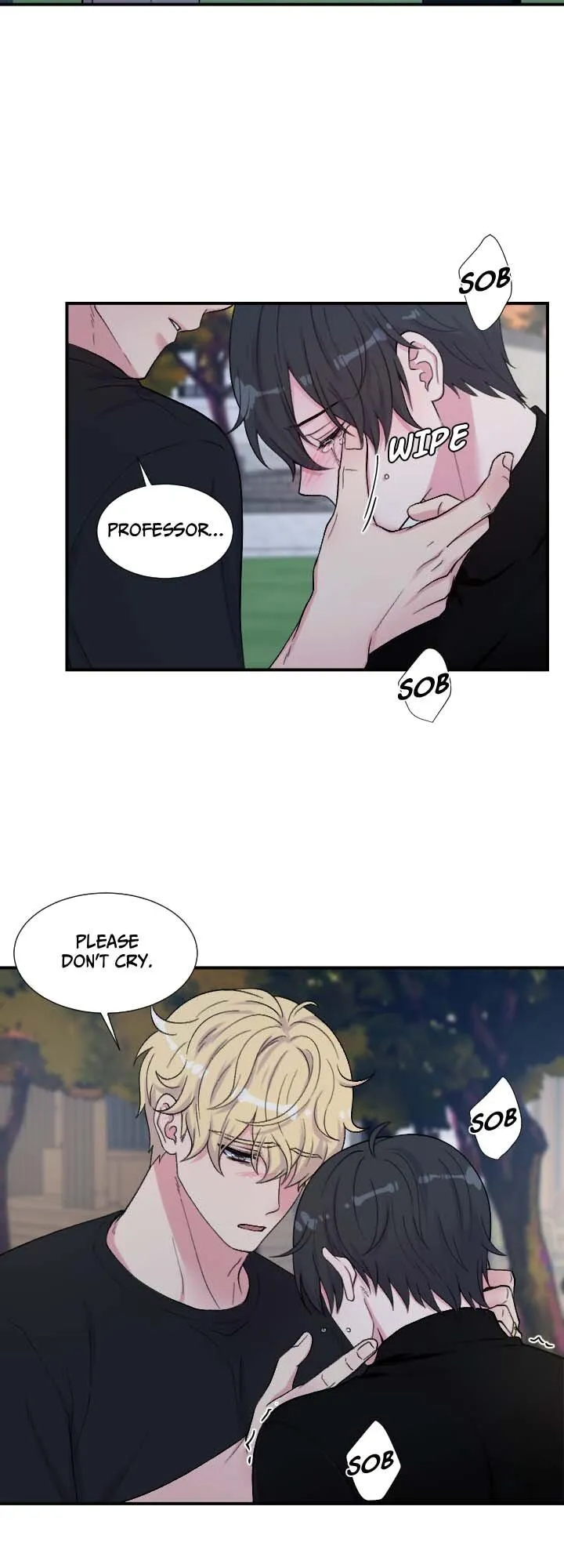 The Professor