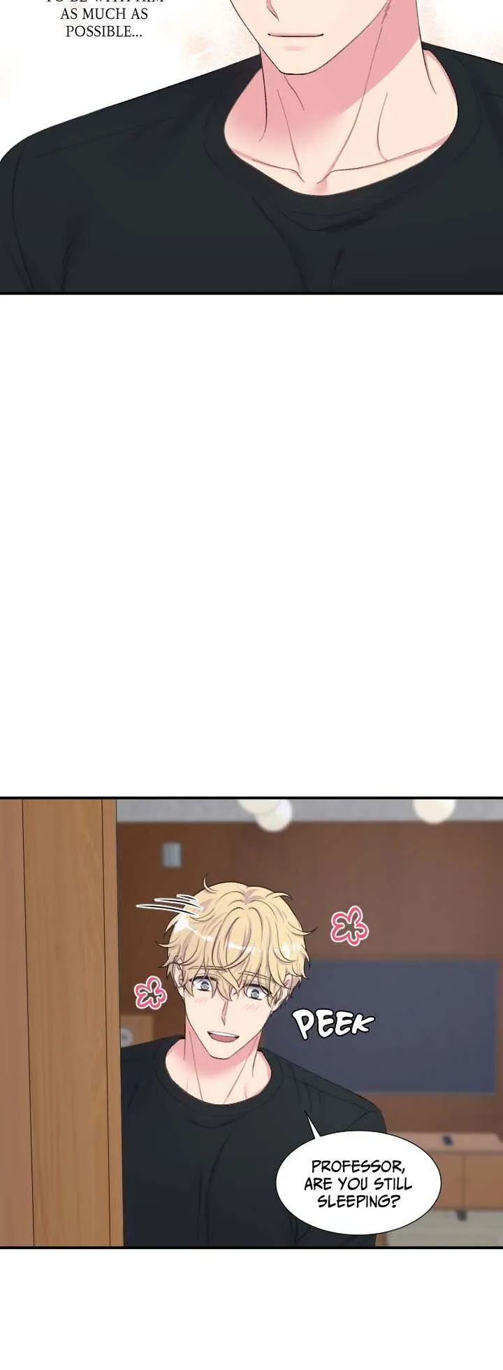 The Professor