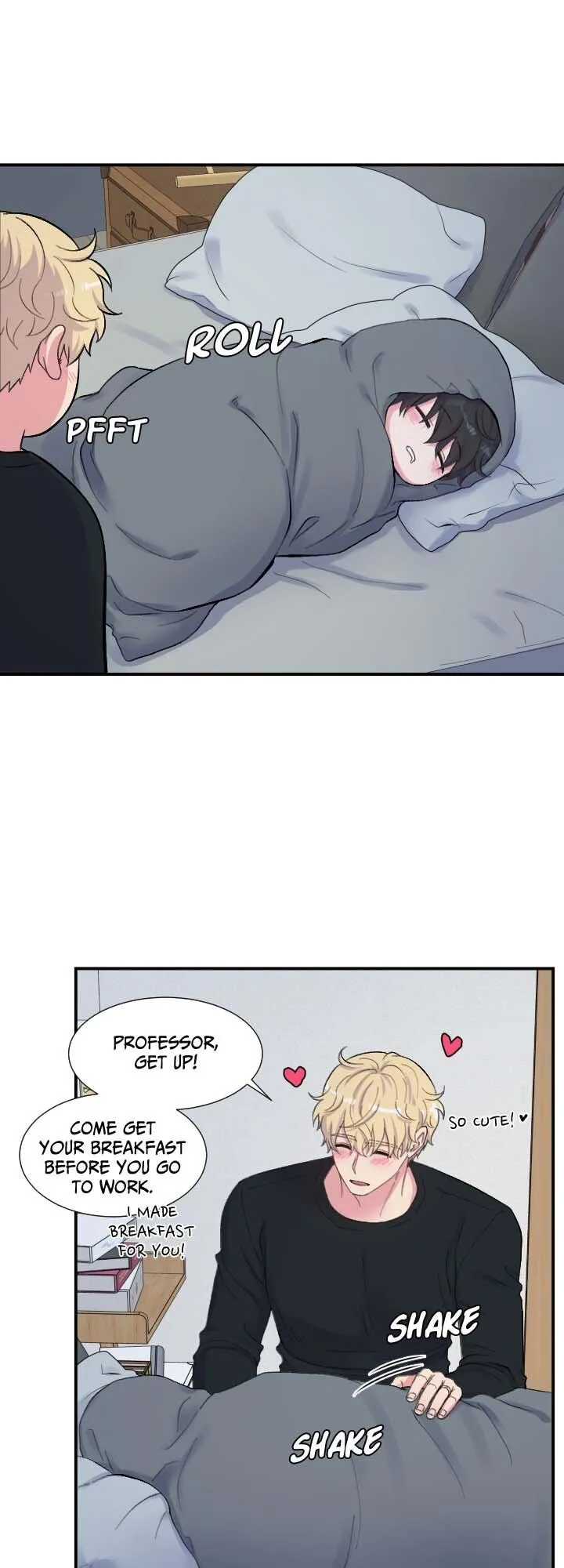 The Professor