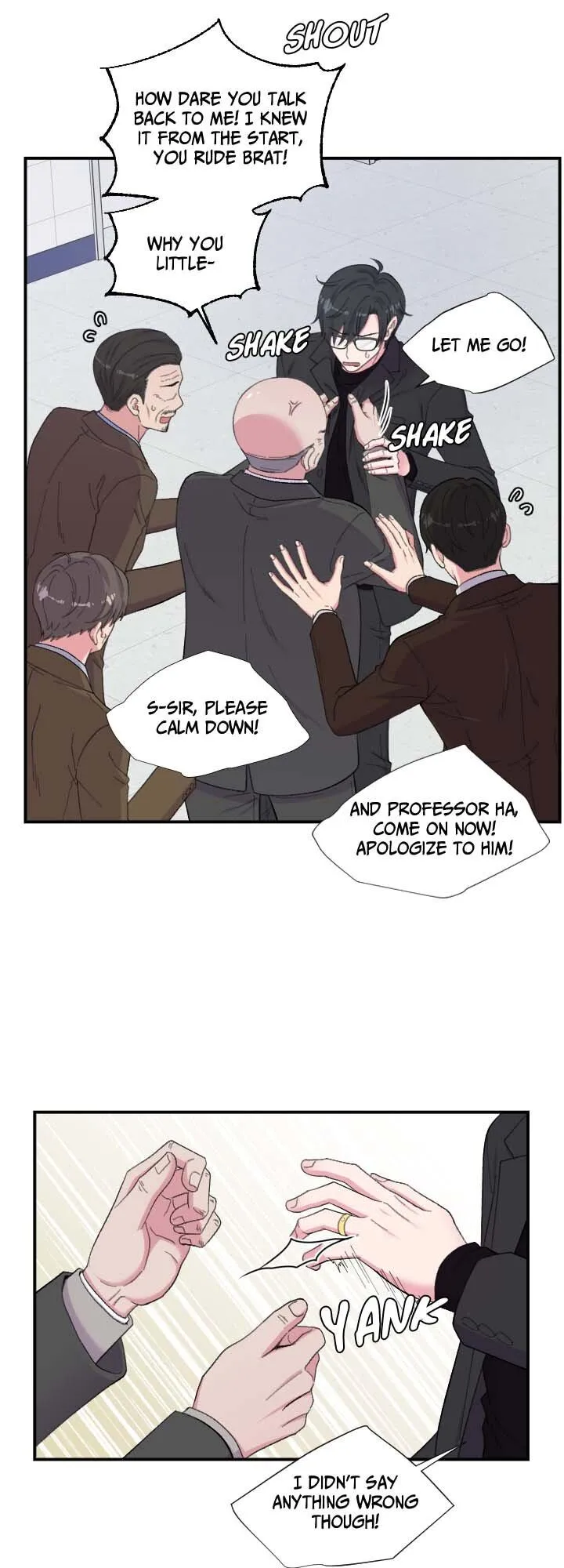 The Professor
