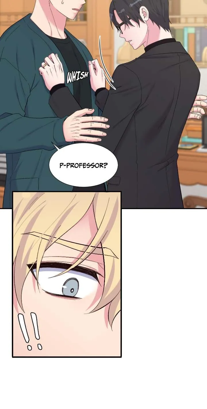 The Professor