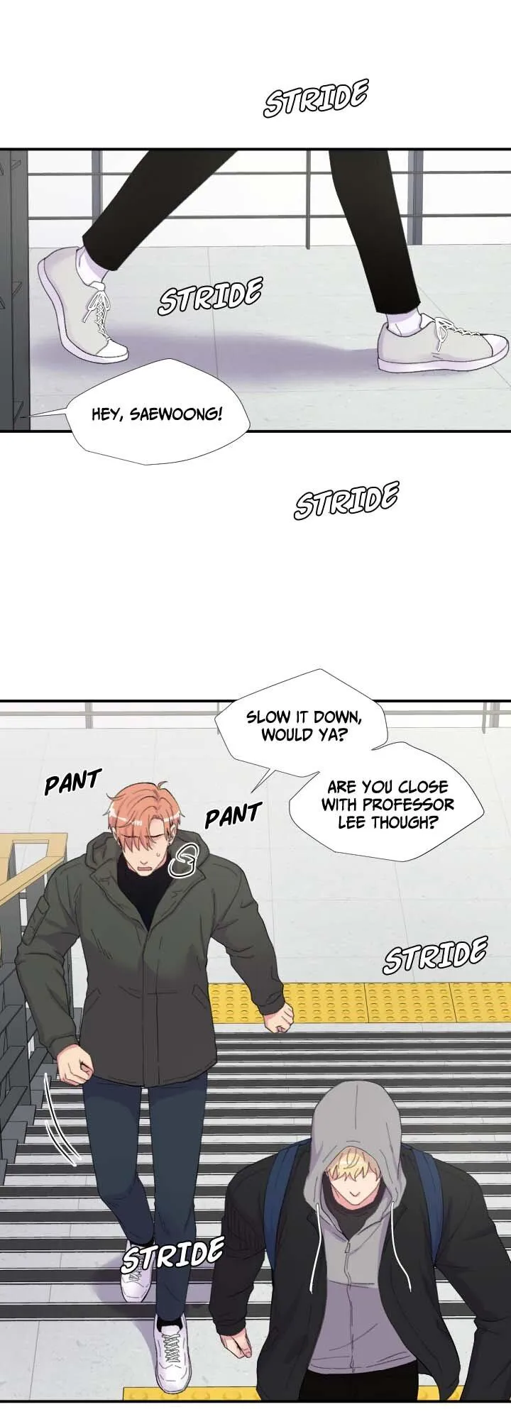 The Professor