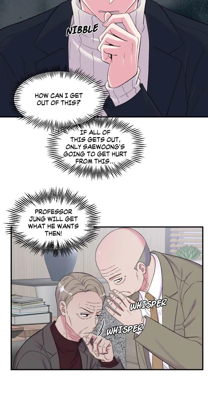 The Professor