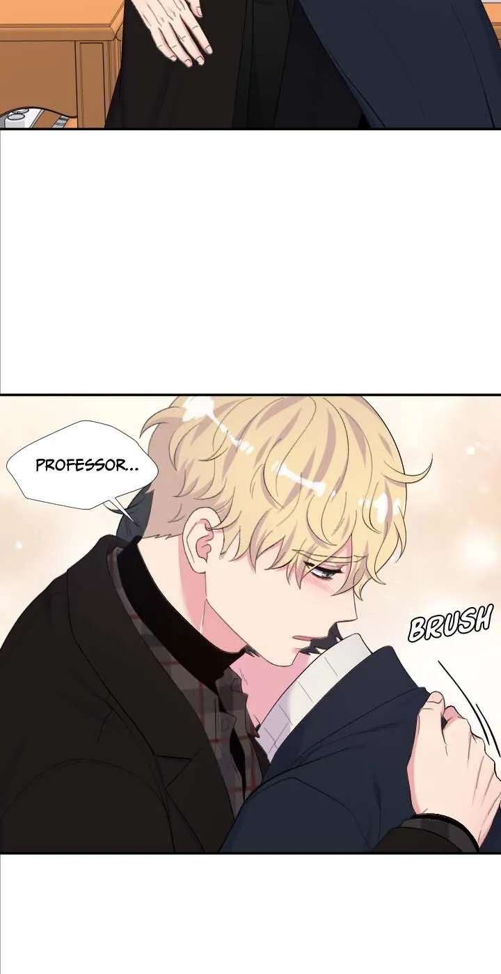 The Professor
