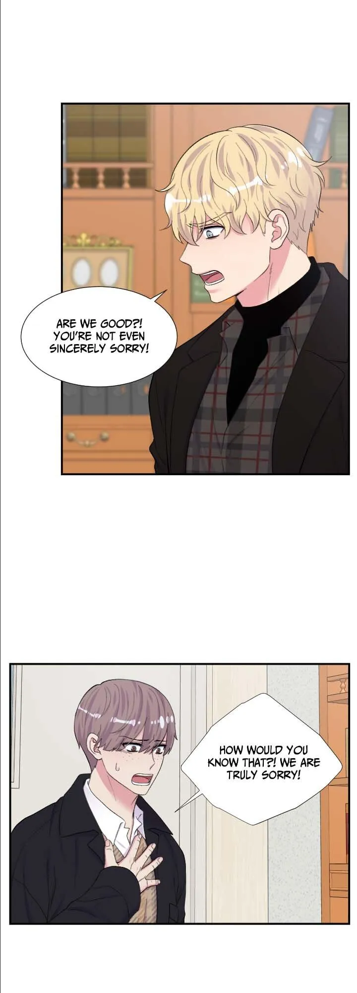 The Professor