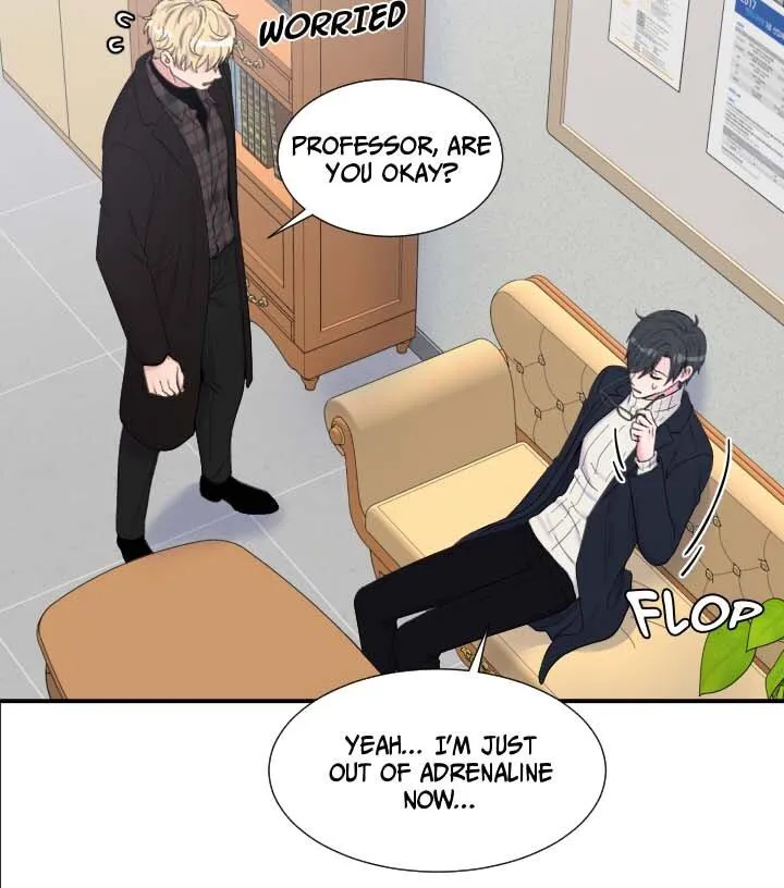 The Professor